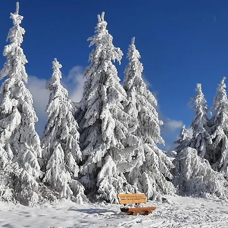 An Den Kurwiesen