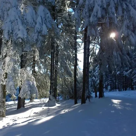 An Den Kurwiesen * Masserberg